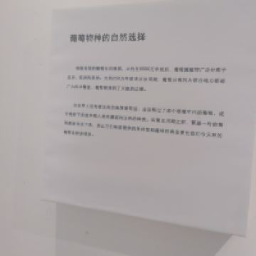 評論圖片 6