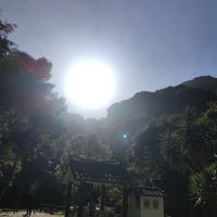 評論圖片 2