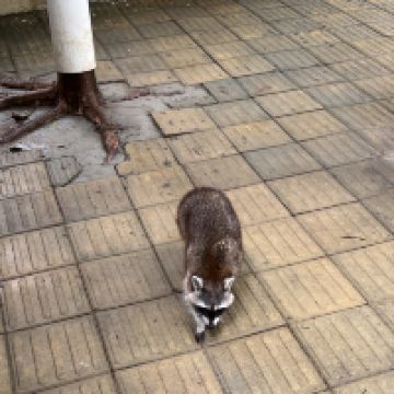 評論圖片 8