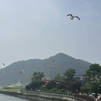 評論圖片 1