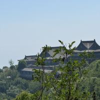 評論圖片 1