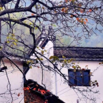 評論圖片 5