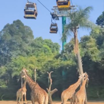 評論圖片 3