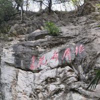 評論圖片 4