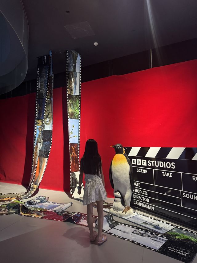 UK-The BBC EARTH Digital Image Exhibition of Polar Creatures | Hongqiao World Performing Arts Center