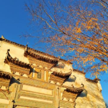 評論圖片 5