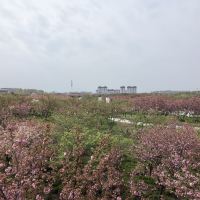 評論圖片 3