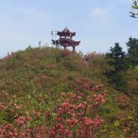 評論圖片 1