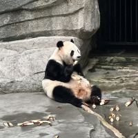 評論圖片 2