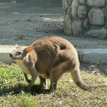 評論圖片 7