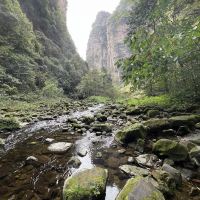 評論圖片 4