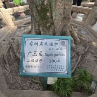 評論圖片 6