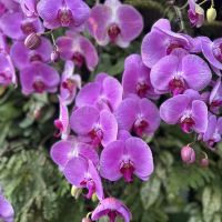 評論圖片 5