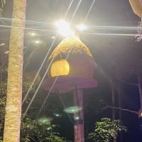 評論圖片 7