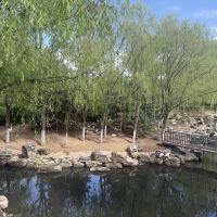 評論圖片 1