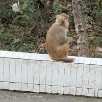 評論圖片 2