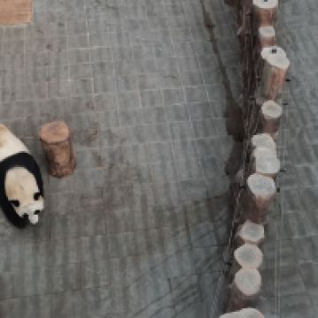 評論圖片 3