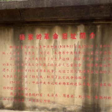評論圖片 2