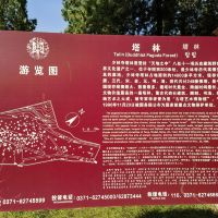 評論圖片 9
