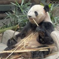 評論圖片 5