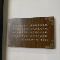 評論圖片 7