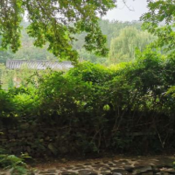 評論圖片 2