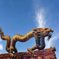 評論圖片 9