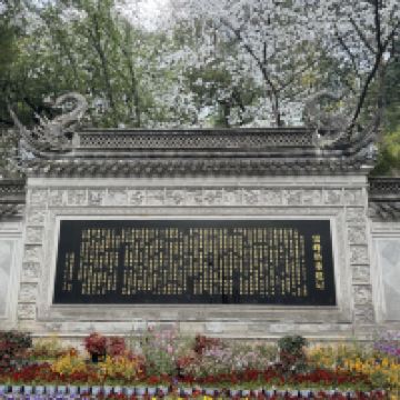 評論圖片 1