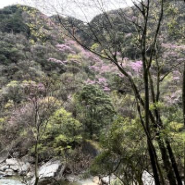 評論圖片 4