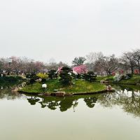 評論圖片 3