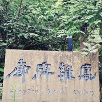 評論圖片 1