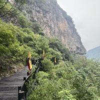 評論圖片 5