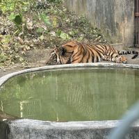 評論圖片 3