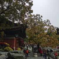 評論圖片 6