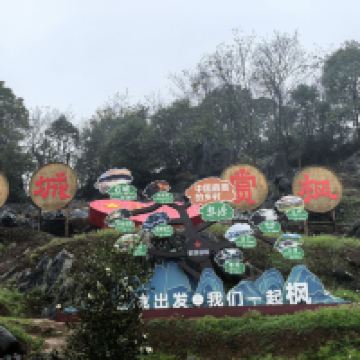 評論圖片 3