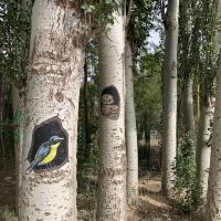 評論圖片 7