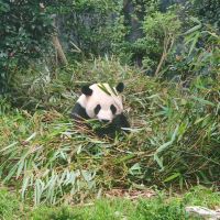 評論圖片 3