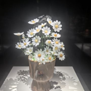 評論圖片 5