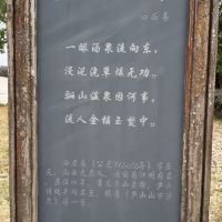 評論圖片 8
