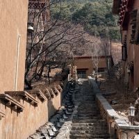 評論圖片 3