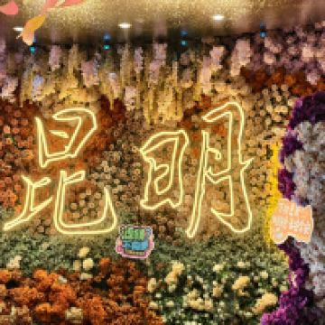 評論圖片 5