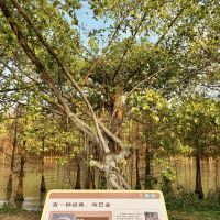評論圖片 3
