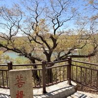 評論圖片 8