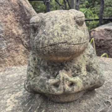 評論圖片 4