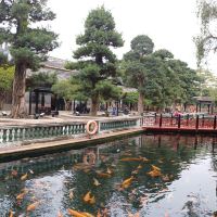 評論圖片 5
