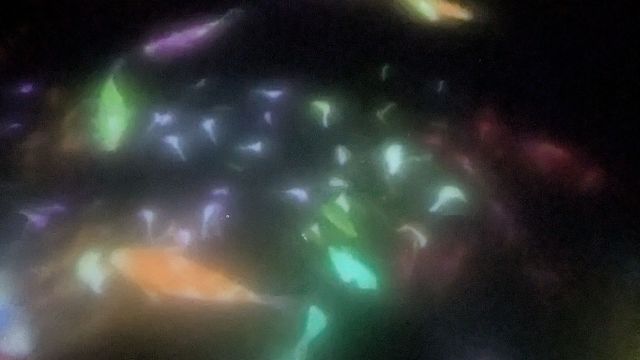 review picture
