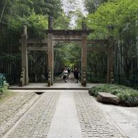 評論圖片 1