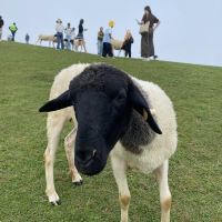 評論圖片 3