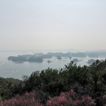 評論圖片 8