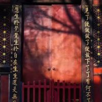 評論圖片 1